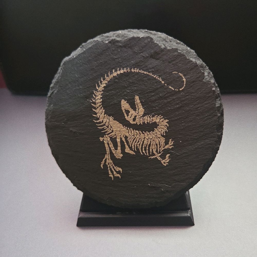 Jurassic Park Slate Coasters