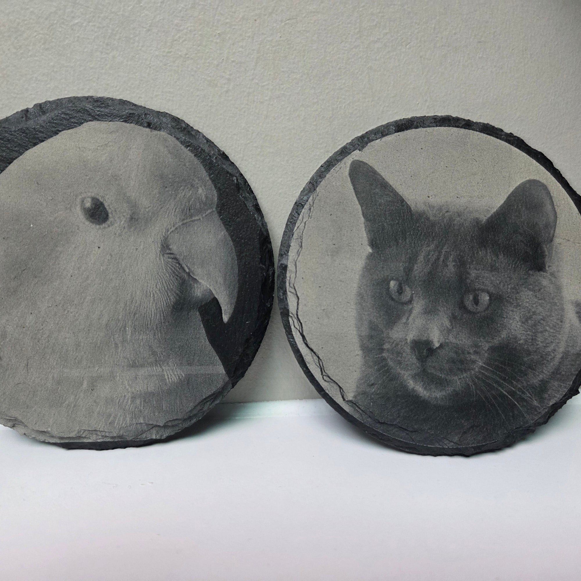 Engraved Pet Portrait