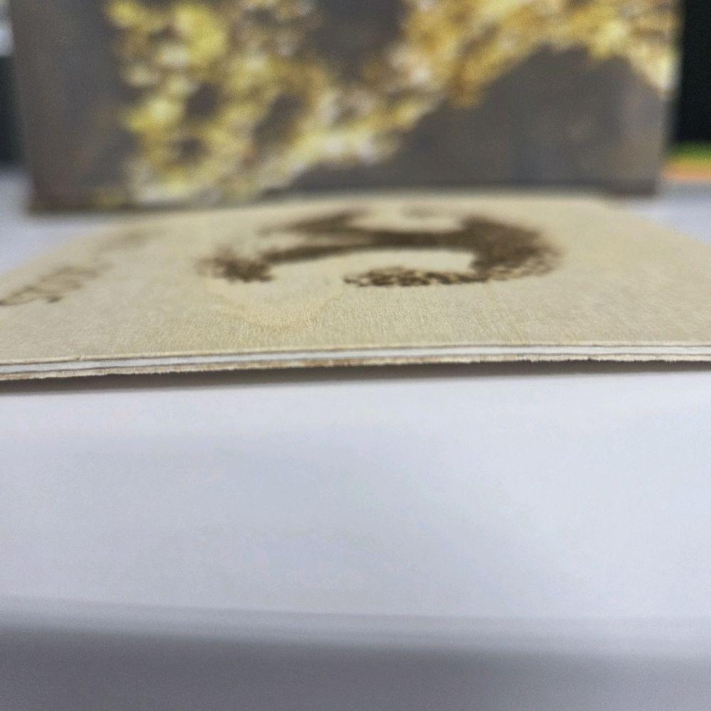 Engraved Pet Paw/Nose Print
