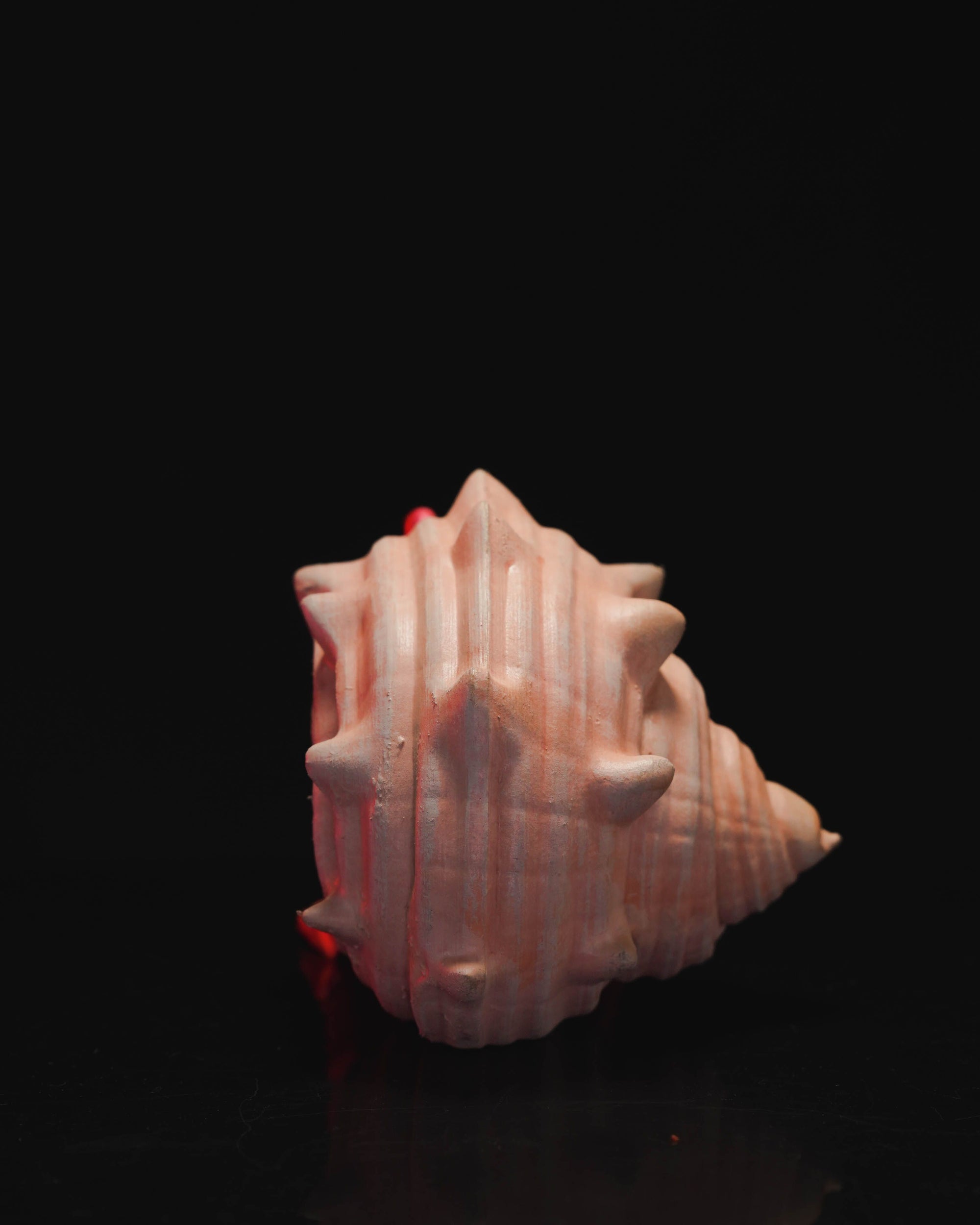 Articulated Hermit Crab Figure