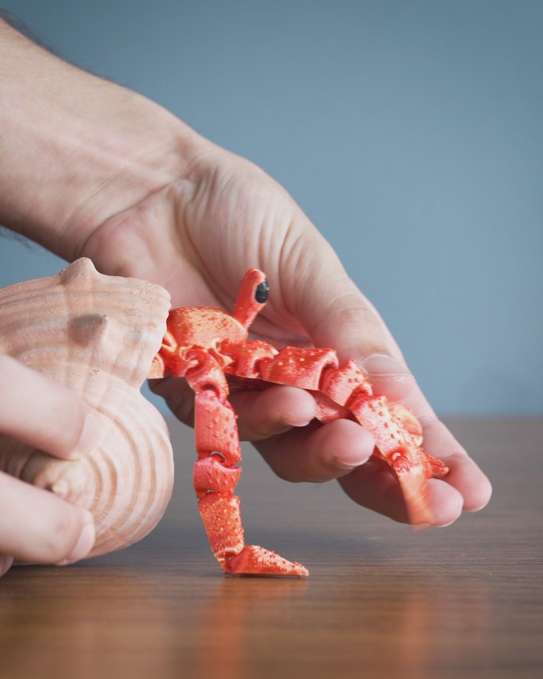 Articulated Hermit Crab Figure