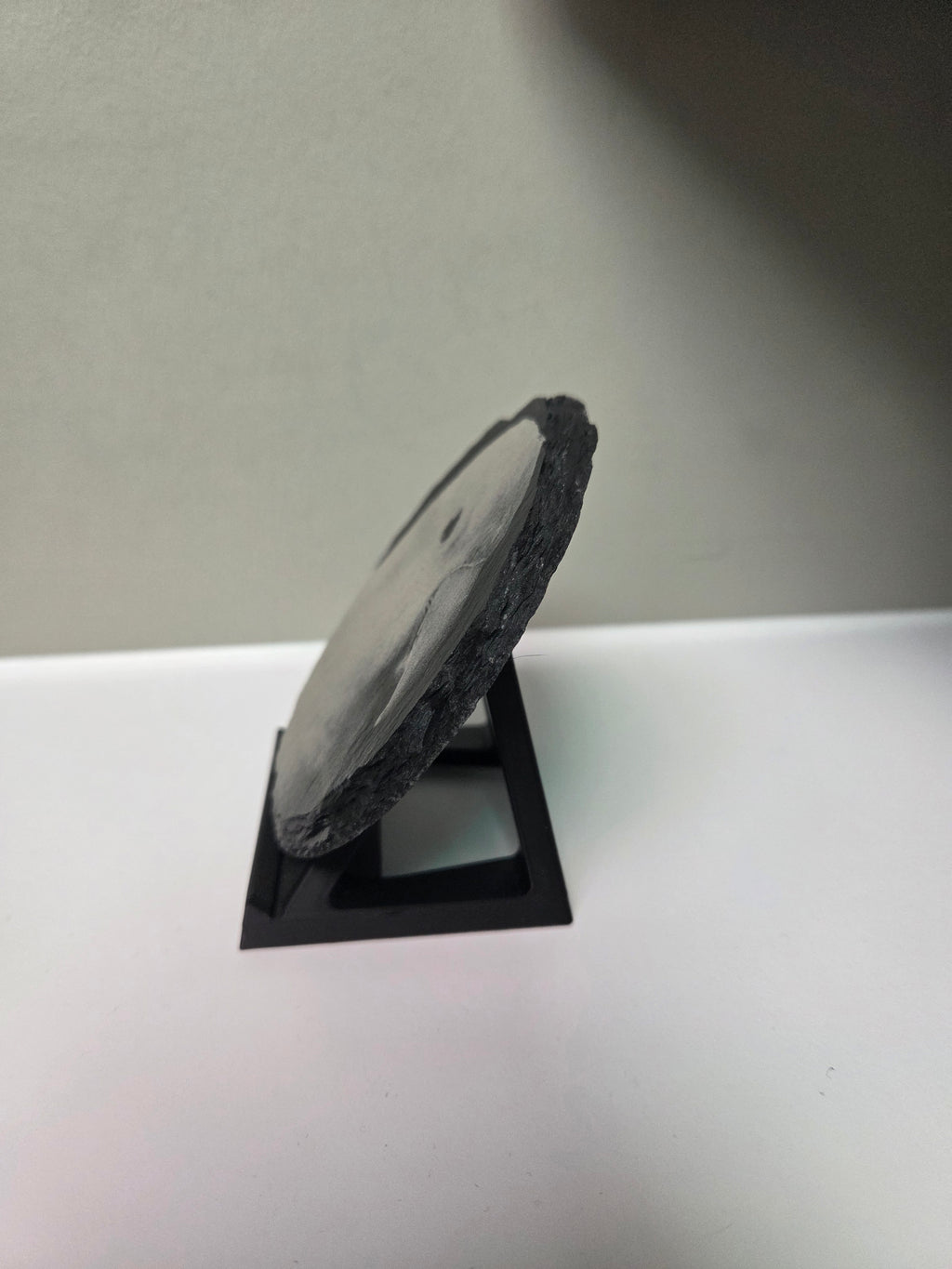 Engraved Pet Portrait Plaque