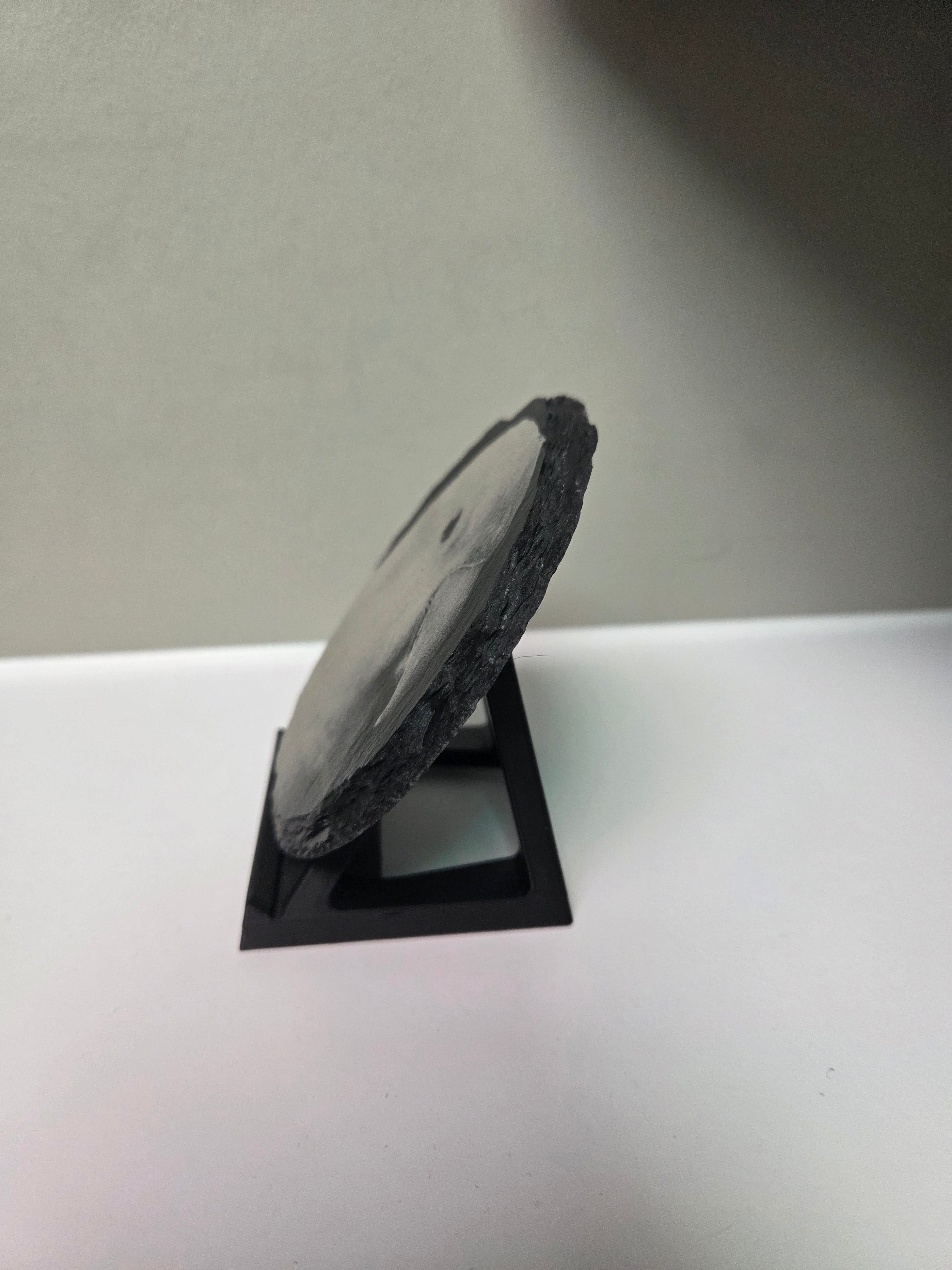 Engraved Pet Portrait Plaque