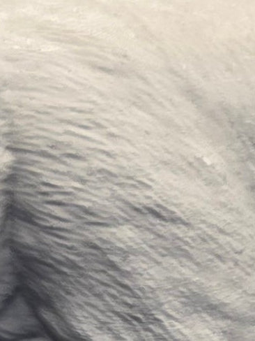 Pet Paw/Nose Print Engraved Plaque or Frame