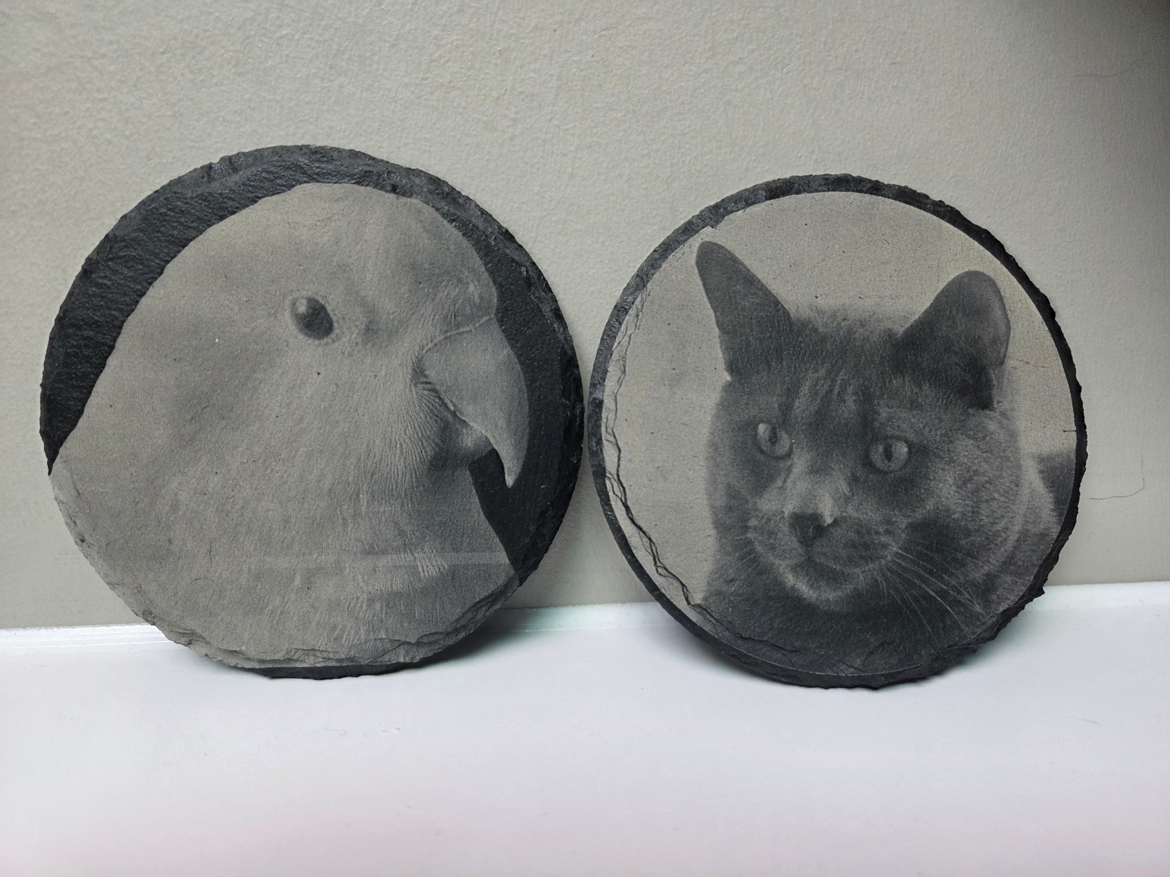 Engraved Pet Portrait Plaque